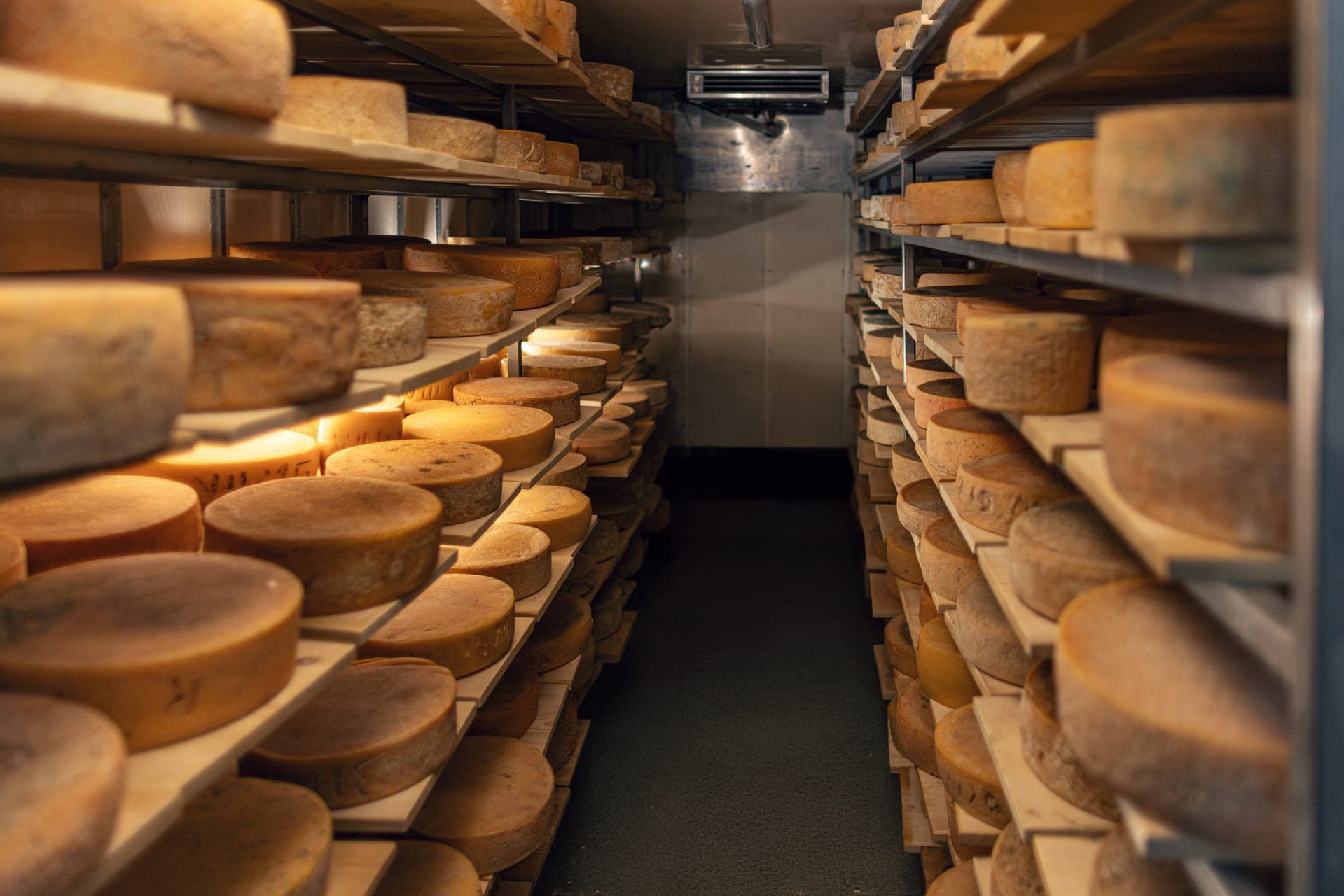 Artisan cheese cellar at Uzonka Farm