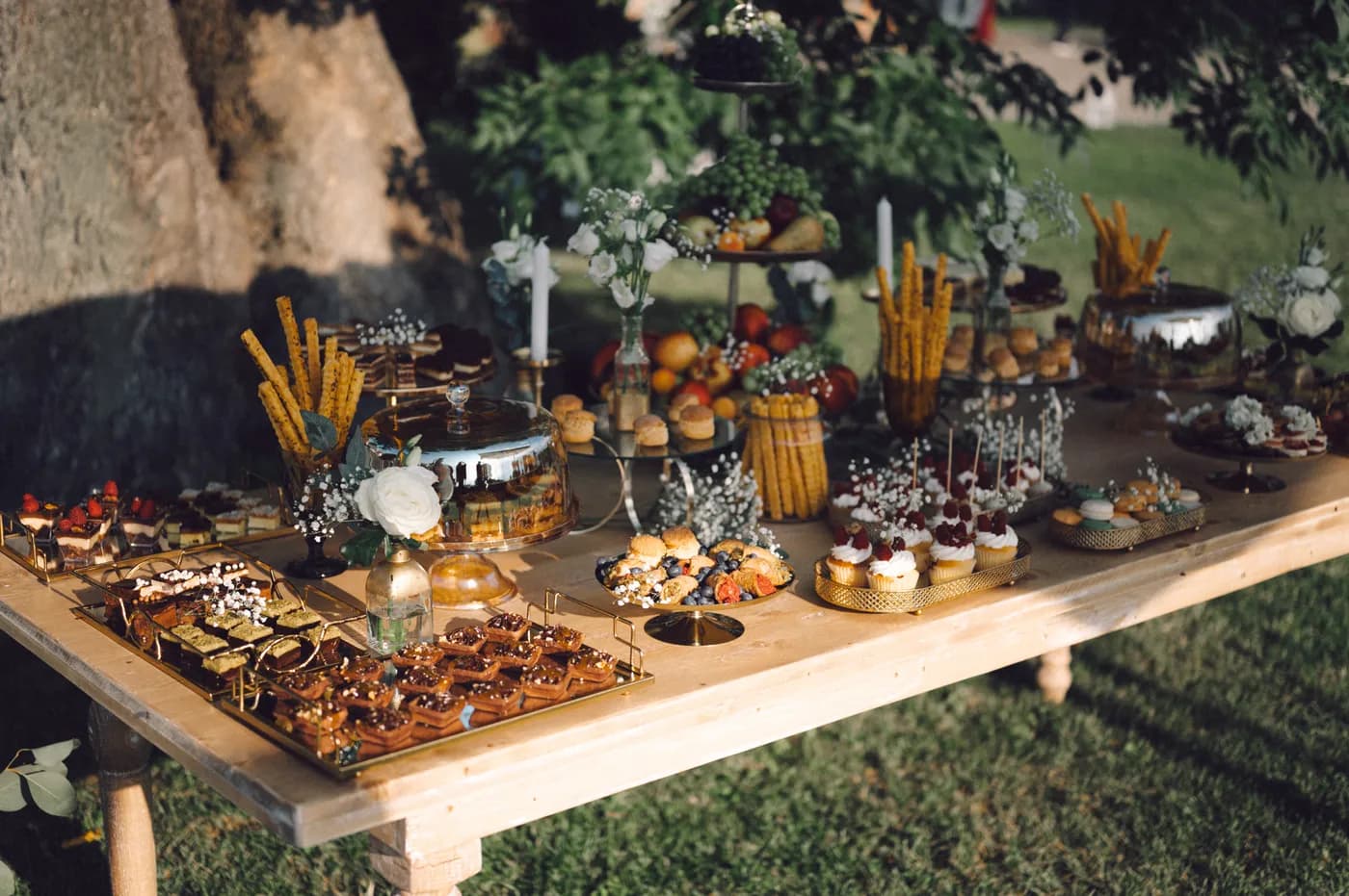Cake & Candy Bar